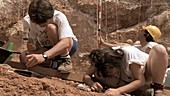 Excavations at Gran Dolina, Spain