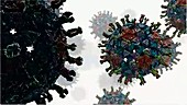 Rotavirus