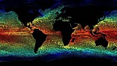 Ocean currents and surface temperatures