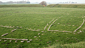 Trelleborg Viking ring castle site