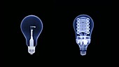 Light bulb comparison, X-rays