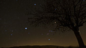 Sirius and Orion, timelapse