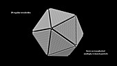 Icosahedral Multiply-Twinned Nanoparticle