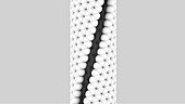 Graphene and Single-walled Carbon Nanotube