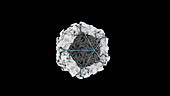 Icosahedral virus