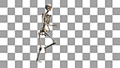 Female skeleton, running