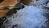 Ice crystals melting, Greenland