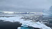 Navigating through sea ice, Greenland