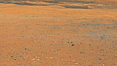 Panorama of Mars from Curiosity