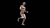 Male body running