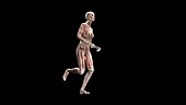 Female body running