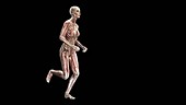 Female body running