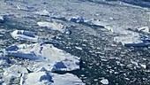 Coastal icebergs, Greenland