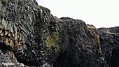 Meltwater on basalt cliffs, Greenland