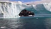 Iceberg with arch, Greenland