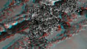 MLCK enzyme activation, anaglyph 3D