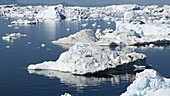 Trawler and icebergs, Greenland