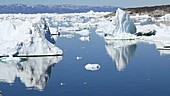 Boat and icebergs, Greenland