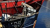 Inuit whaling boat, Greenland