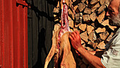 Butchering a deer carcass