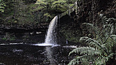 Sgwd Gwladrus waterfall