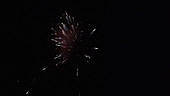 Firework display at night