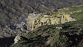 Rocky coastal outcrop, Cwmtydu, Wales