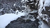 Inglis Falls in winter