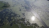 Wetlands, aerial