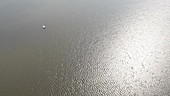 Yacht at sea, aerial