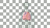 Asthma attack, animation