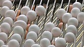 Hen eggs in a factory