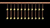 Coupled spring pendulums simulation