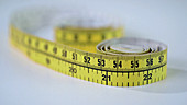 Tape measure