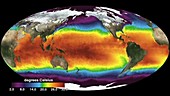 Global sea surface temperatures