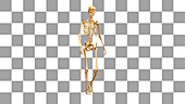 Walking gold skeleton