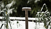 Snow settling on a spade