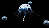 Cancer cell breakdown, animation
