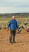 Griffon vulture conservation, Spain