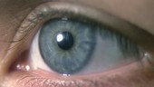 Human blue eye