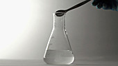 Solubility of sucrose