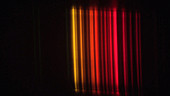 Neon spectral lines