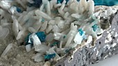Cavansite crystals on stilbite