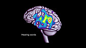Brain areas related to language, animation