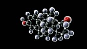 Estradiol molecular model
