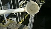 Testing water at sewage plant