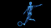 Human skeleton kicking football