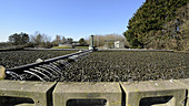 Tank at sewage plant