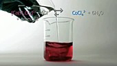 Cobalt chloride equilibrium demonstration