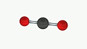 Linear molecule CO2